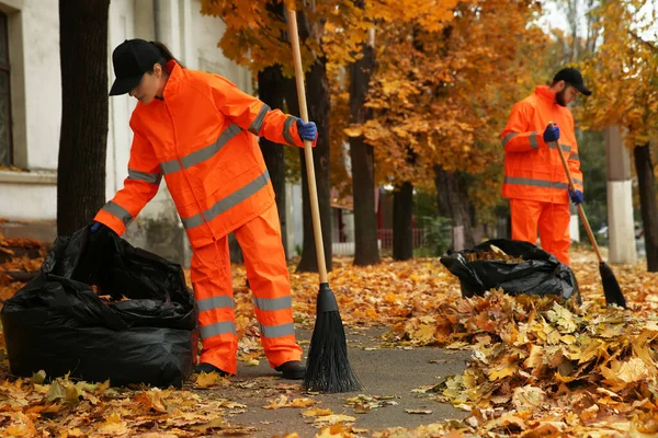 Workers cleaning street from fallen leaves on autumn day