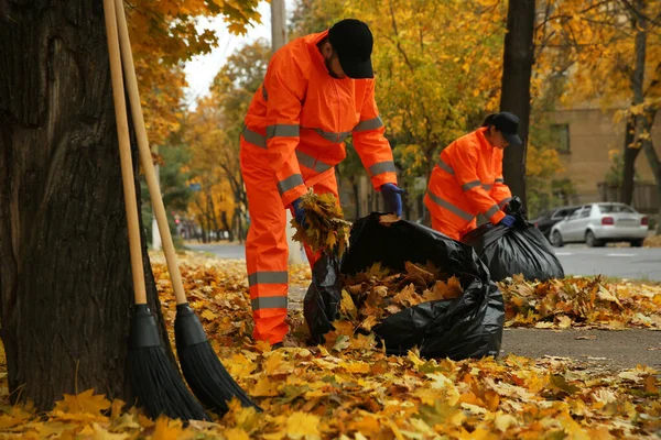 Arbeiter Säubern Straße Herbsttag Von Umgefallenem Laub — Stockfoto