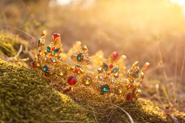Piękna Złota Korona Trawie Zewnątrz Pozycja Fantazji — Zdjęcie stockowe