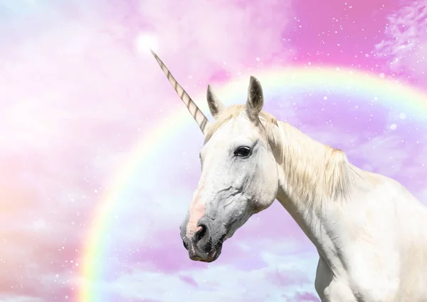 虹とふわふわの雲と美しい空の魔法のユニコーン 幻想世界 — ストック写真