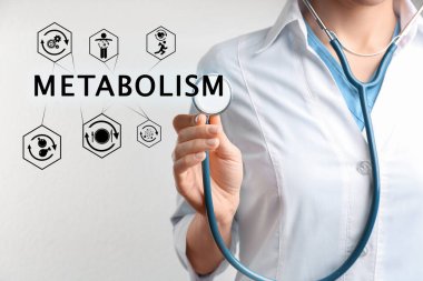 Metabolizma konsepti. Arka planda steteskop olan doktor, yakın plan.
