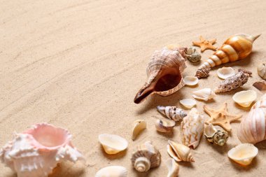 Beautiful seashells and starfishes on beach sand, space for text. Summer vacation clipart
