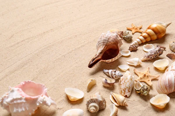 Hermosas Conchas Marinas Estrellas Mar Arena Playa Espacio Para Texto — Foto de Stock