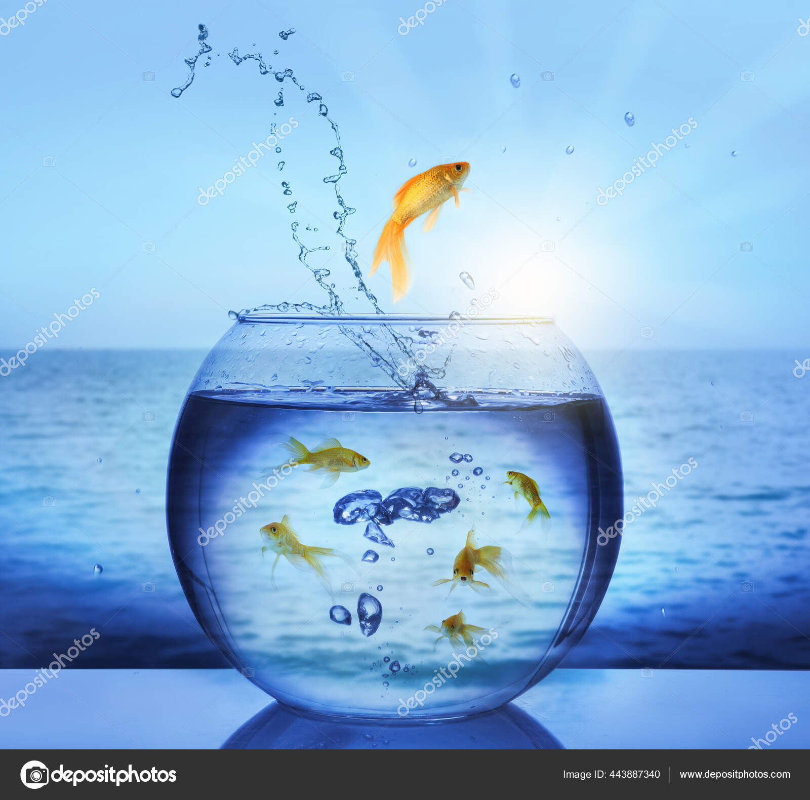 My Image 23