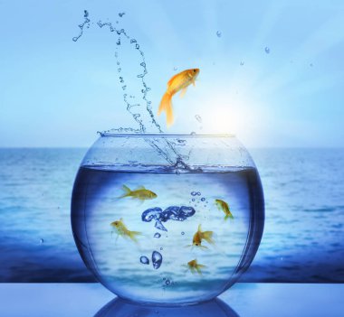 Goldfish jumping out of water and beautiful seascape on background  clipart