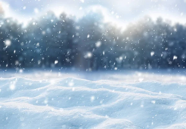Beautiful Fluffy Snow Forest Winter Season — Stock Photo, Image