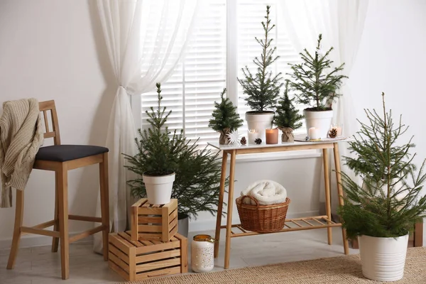 Getopfte Tannenbäume Und Weihnachtsdekoration Auf Dem Tisch Neben Dem Fenster — Stockfoto