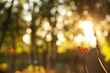Güzel günbatımının tadını çıkaran genç bir kadın, yazı için yeri olan yakın çekim manzarası. Doğa iyileştirme gücü