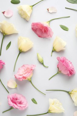 Gri arka planda güzel Eustoma çiçekleri, düz yatıyordu.