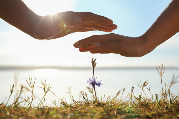 Couple holding hands over blooming flower outdoors, closeup. Nature healing power