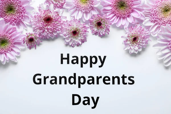 Piękne Fioletowe Kwiaty Wyrażenie Happy Grandparents Day White Background Flat — Zdjęcie stockowe