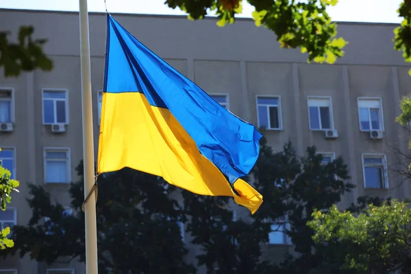 Národní Vlajka Ukrajiny Městském Parku Slunečného Dne — Stock fotografie
