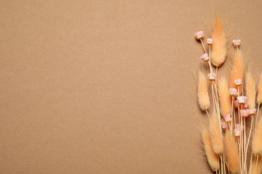 Açık kahverengi arka planda bir buket kurumuş çiçek, düz uzanmış. Metin için boşluk