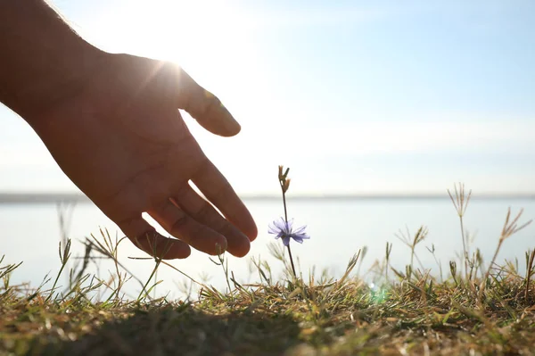Man reaching hand to blooming flower outdoors, closeup. Nature healing power