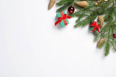 Beyaz arka planda kozalaklı düz kompozisyon. Metin için boşluk