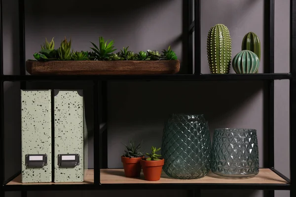 Rayonnage Avec Différents Décors Plantes Intérieur Près Mur Gris Design — Photo