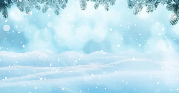 Design Zimních Karet Krásný Nadýchaný Sníh Jedle Venku — Stock fotografie