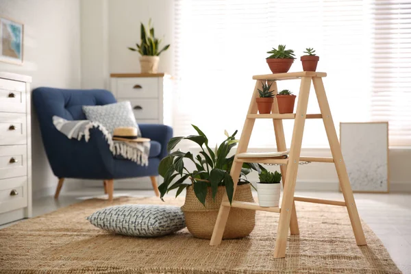 Elegante Salón Interior Con Escalera Madera Plantas Interior —  Fotos de Stock