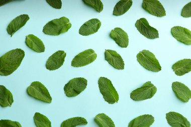 Açık mavi zemin üzerinde taze nane, düz uzanmış