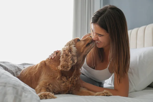 Jonge Vrouw Haar Engelse Cocker Spaniel Bed Binnen Huisdiervriendelijk Hotel — Stockfoto