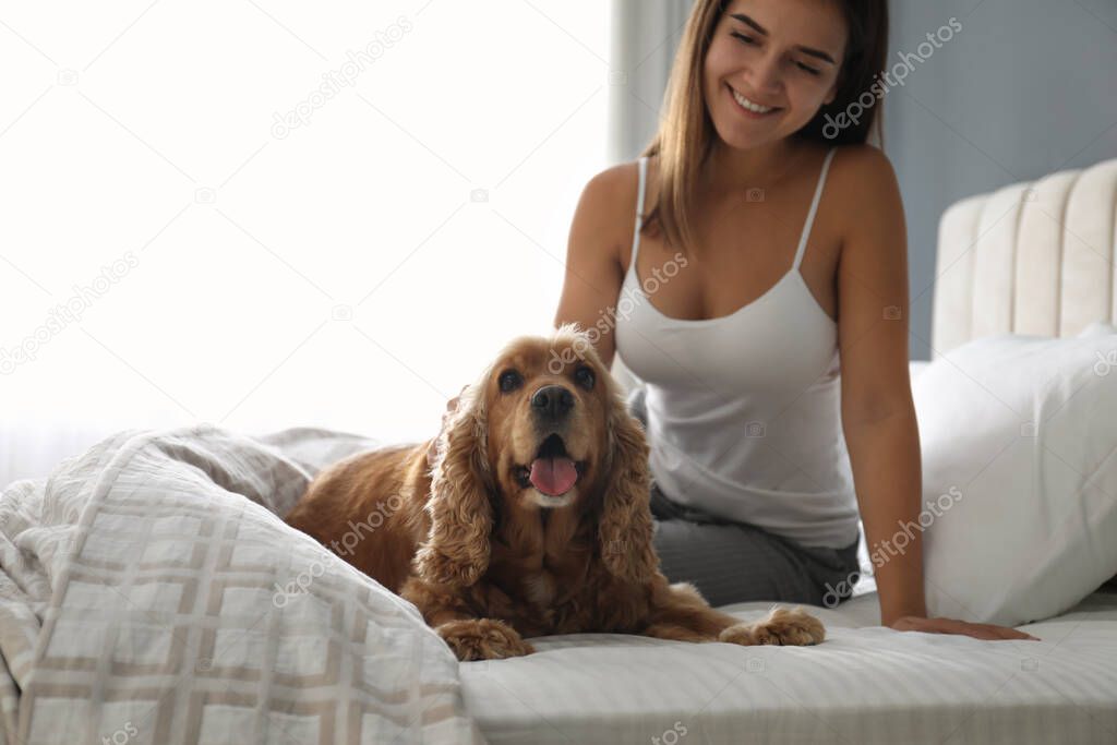 Young woman and her English Cocker Spaniel on bed indoors. Pet friendly hotel