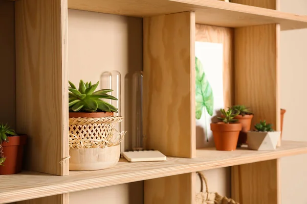 Wooden Shelves Different Decorative Elements Beige Wall — Stock Photo, Image