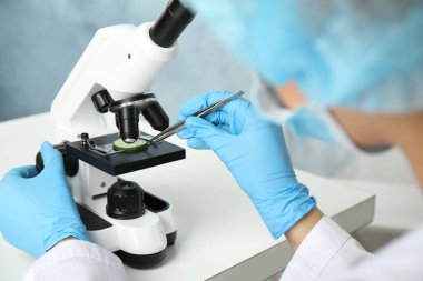 Bilimadamı laboratuvarda mikroskopla salatalık dilimini inceliyor, yakın plan. Zehir saptama