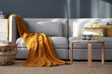 Odasında yumuşak ekose kumaş olan şık bir kanepe. İç tasarım için fikir