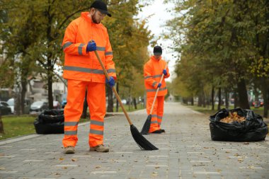 Street cleaners sweeping fallen leaves outdoors on autumn day clipart