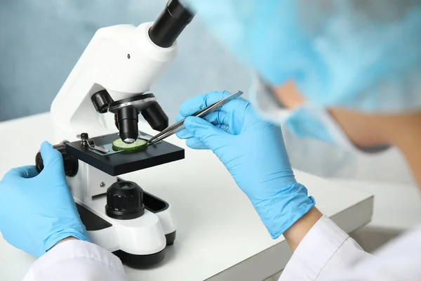 Bilimadamı Laboratuvarda Mikroskopla Salatalık Dilimini Inceliyor Yakın Plan Zehir Saptama — Stok fotoğraf
