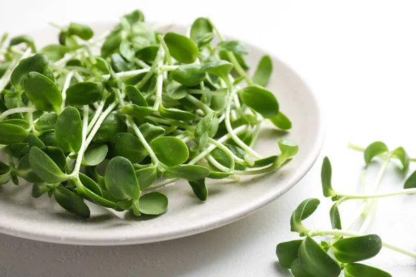 Bord Met Verse Microgreen Witte Tafel Close — Stockfoto