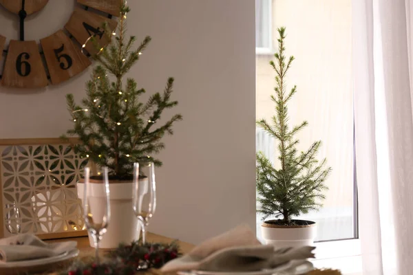 Kleine Dennenbomen Eetkamer Interieur Ontwerp — Stockfoto