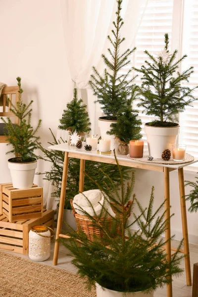 Getopfte Tannenbäume Und Weihnachtsdekoration Auf Dem Tisch Neben Dem Fenster — Stockfoto