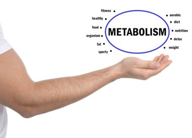 Metabolizma konsepti. Beyaz arkaplanda sunucu şeması, yakın plan