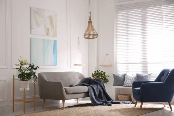 快適なグレーのソファと美しいリビングルームのインテリア — ストック写真