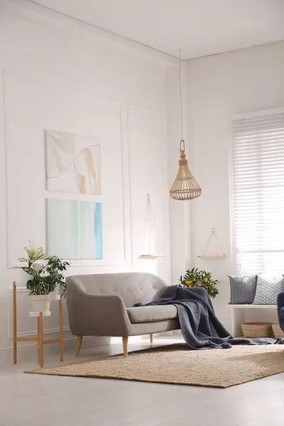 Schöne Wohnzimmereinrichtung Mit Bequemem Grauen Sofa — Stockfoto