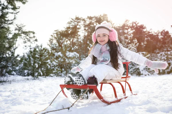 可爱的小女孩在户外玩雪橇 — 图库照片