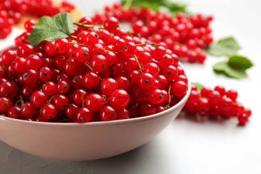 Kırmızı frenk üzümleri tabakta, ışık masasında, yakın plan.