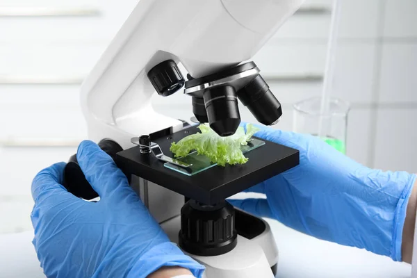 Wetenschapper Inspecteert Sla Met Microscoop Laboratorium Close Vergiftigingsdetectie — Stockfoto