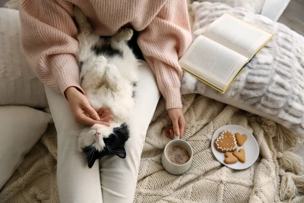 Woman Stroking Adorable Cat Bed View — Stock Photo, Image