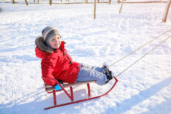 Χαριτωμένο Αγοράκι Που Απολαμβάνει Βόλτα Έλκηθρο Στο Χιονισμένο Πάρκο — Φωτογραφία Αρχείου