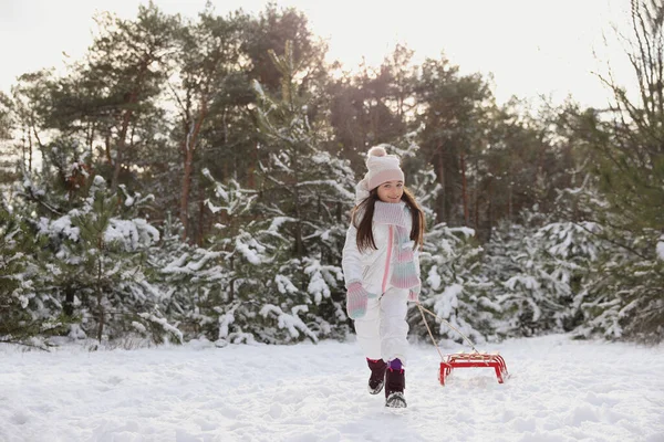 冬日里穿着雪橇的可爱小女孩 — 图库照片