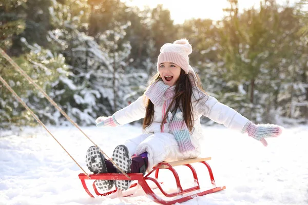 可爱的小女孩在户外玩雪橇 — 图库照片