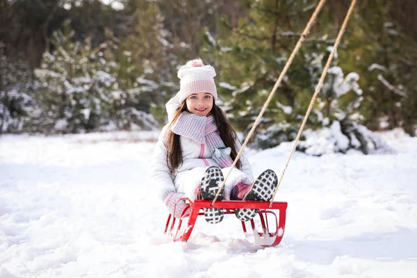 可爱的小女孩在户外玩雪橇 — 图库照片