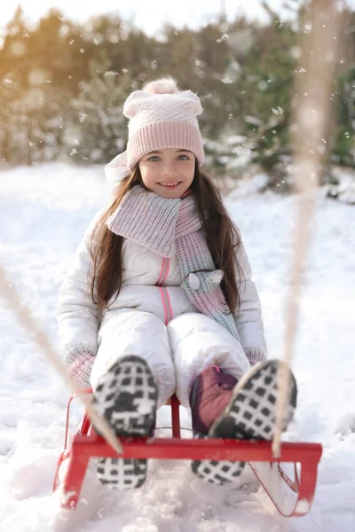 Menina Bonito Desfrutando Passeio Trenó Livre Dia Inverno — Fotografia de Stock