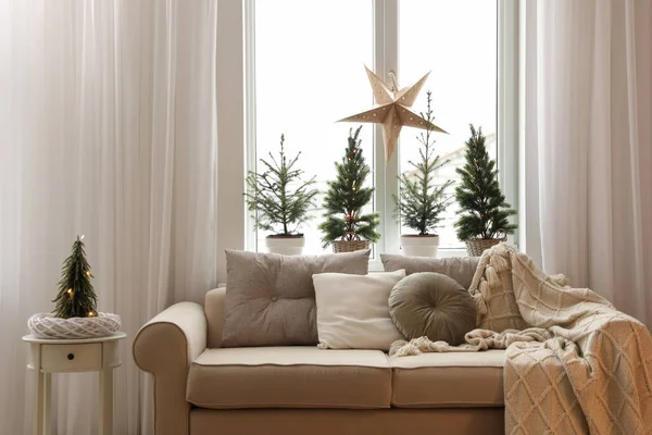 Sofa Fenster Mit Kleinen Tannen Zimmer Innenarchitektur — Stockfoto