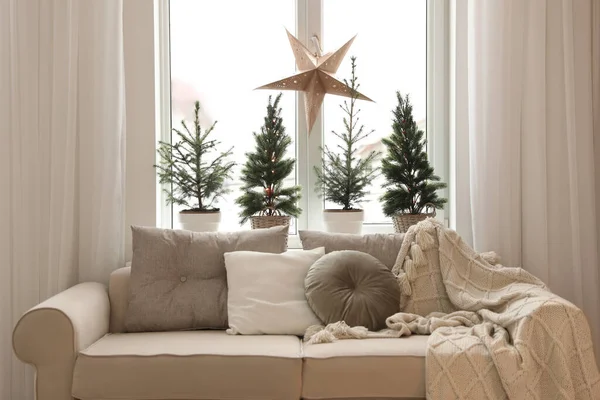 Canapé Près Fenêtre Avec Petits Sapins Dans Chambre Design Intérieur — Photo