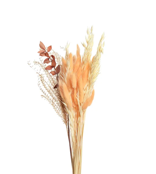 Beyaz Arka Planda Kurumuş Çiçek Demeti — Stok fotoğraf