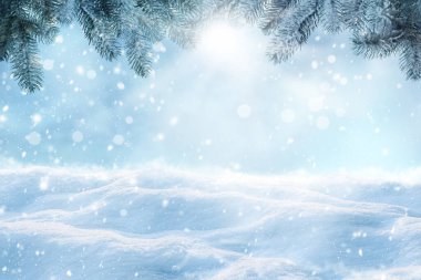 Kış kartı tasarımı. Güzel pofuduk kar ve dışarıda köknar ağacı