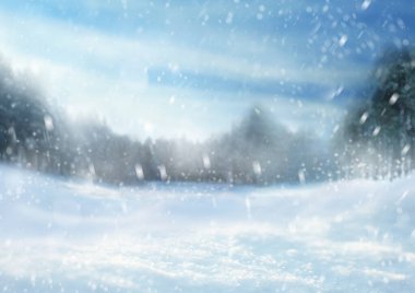 Ormanda güzel pofuduk kar. Kış mevsimi 